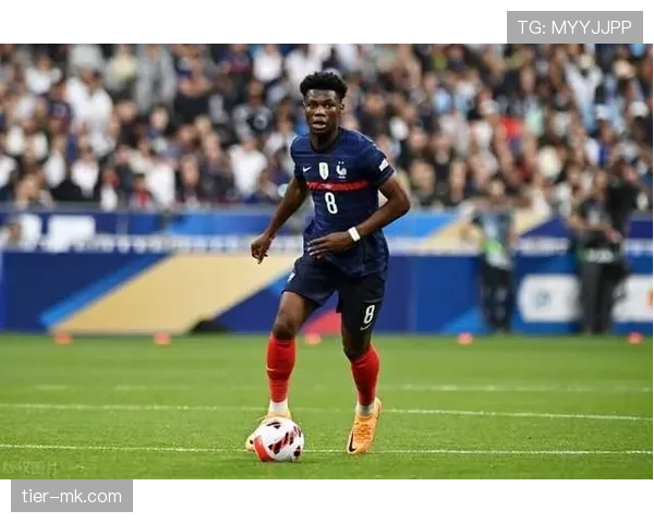 琼阿梅尼 vs 卡马文加：法国中场核心之争